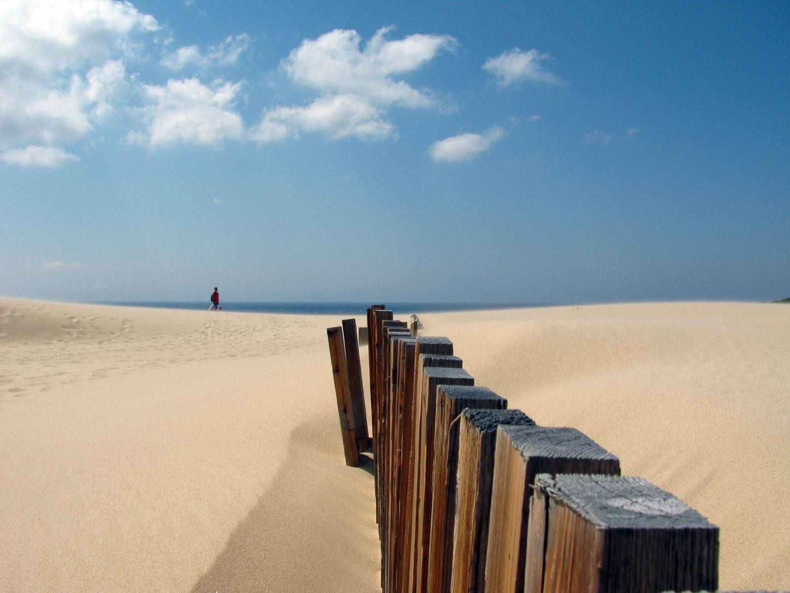 Playa y dunas de Tarifa